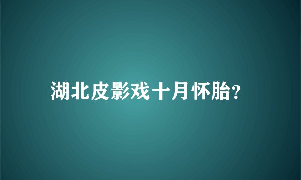 湖北皮影戏十月怀胎？