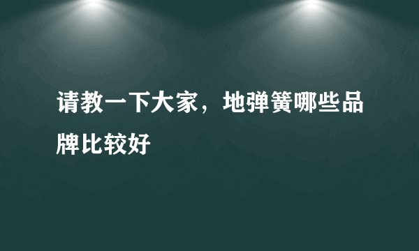请教一下大家，地弹簧哪些品牌比较好