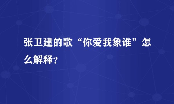 张卫建的歌“你爱我象谁”怎么解释？