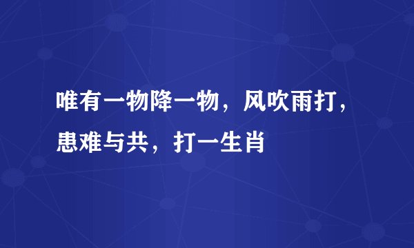 唯有一物降一物，风吹雨打，患难与共，打一生肖