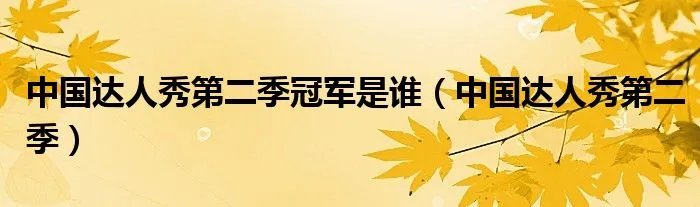 中国达人秀第二季冠军是谁（中国达人秀第二季）