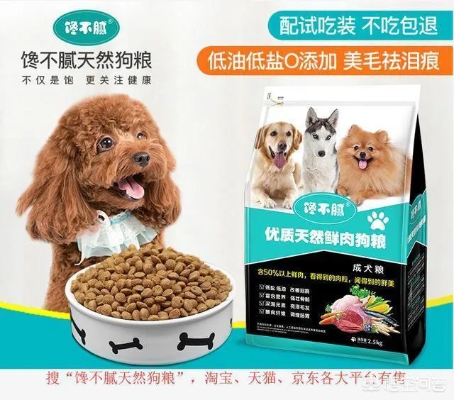 德牧为什么越来越少人养?