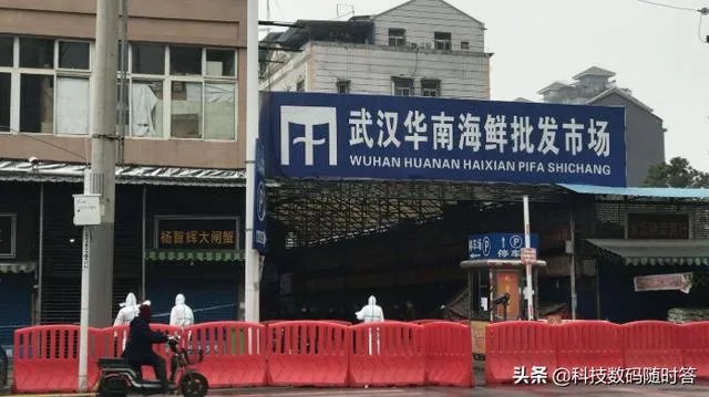 三文鱼会不会是这次北京新冠病毒的传染源?是否可以给出解释?