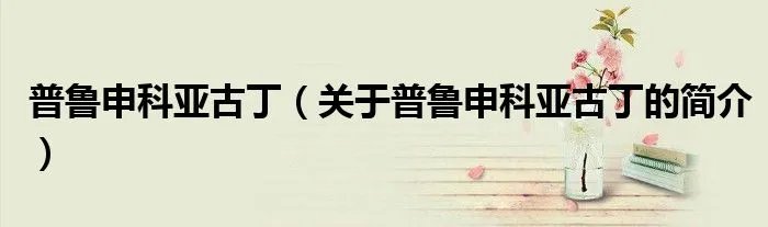 普鲁申科亚古丁（关于普鲁申科亚古丁的简介）