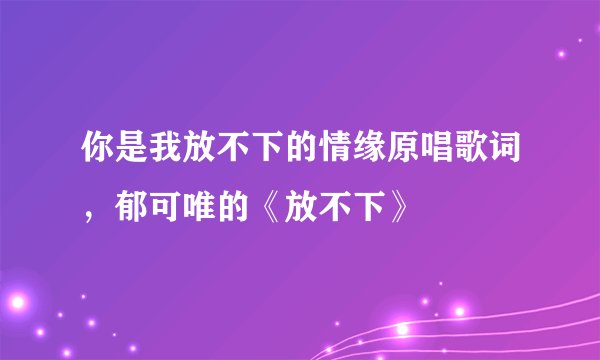 你是我放不下的情缘原唱歌词,郁可唯的《放不下》