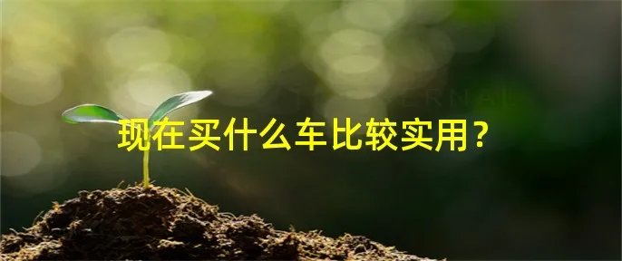 现在买什么车比较实用？