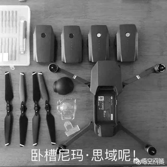 思域是个什么梗?