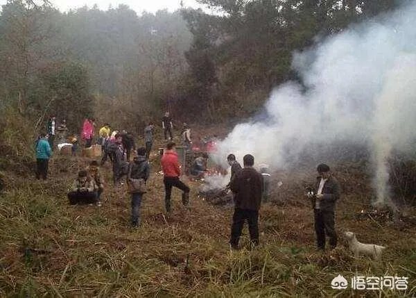 祖坟遗骨被抛洒,78位村民状告开发商索赔410万,怎么回事?