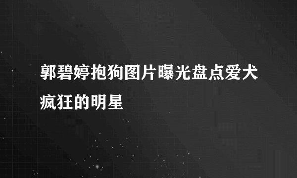 郭碧婷抱狗图片曝光盘点爱犬疯狂的明星