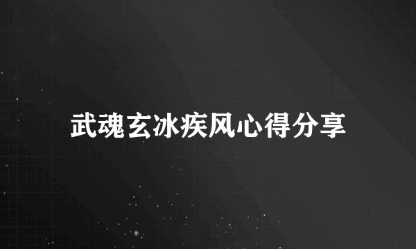 武魂玄冰疾风心得分享