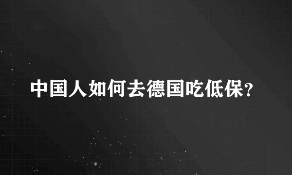 中国人如何去德国吃低保？