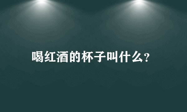 喝红酒的杯子叫什么？
