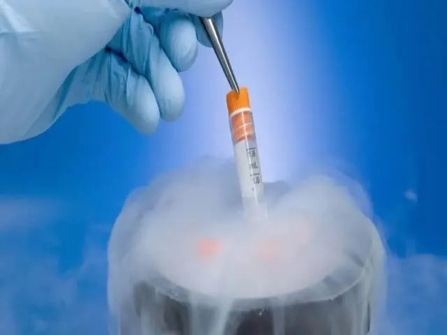 为什么移植D3冻胚到子宫后着床的时间会比较晚?