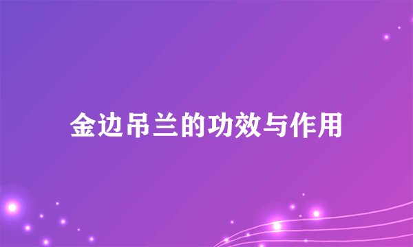 金边吊兰的功效与作用