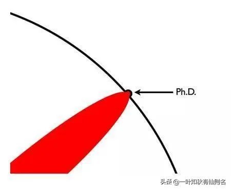 本科生、研究生、硕士生、博士是什么关系?