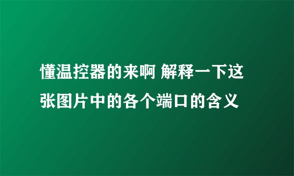 懂温控器的来啊 解释一下这张图片中的各个端口的含义