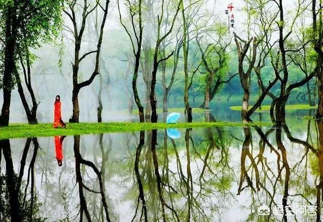国内有哪些地方被誉为是“摄影人的天堂”?