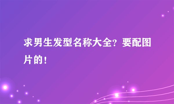 求男生发型名称大全？要配图片的！