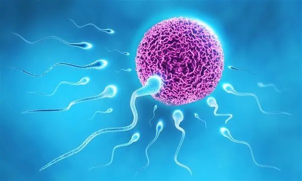 67岁孕妇产下女婴,女人最大生育年龄是多少岁?