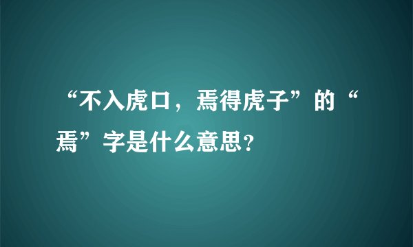 “不入虎口，焉得虎子”的“焉”字是什么意思？