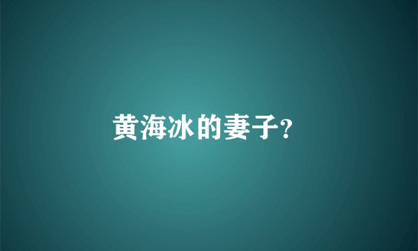 黄海冰的妻子？