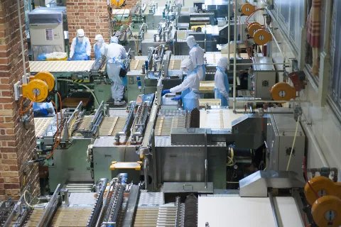 个体食品营业执照类型