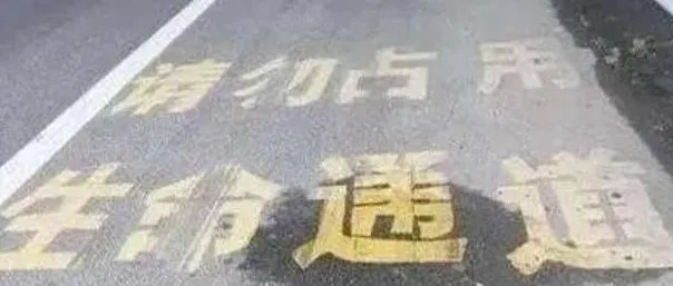 男子在返乡途中拍361张车辆违章照片,是否有对其惩罚?