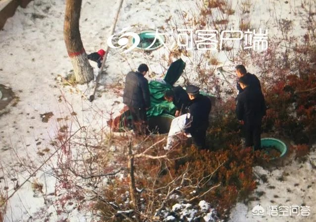 郑州孩子掉入窨井，奶奶施救不幸身亡，遇到这样的事情我们应该怎么办？