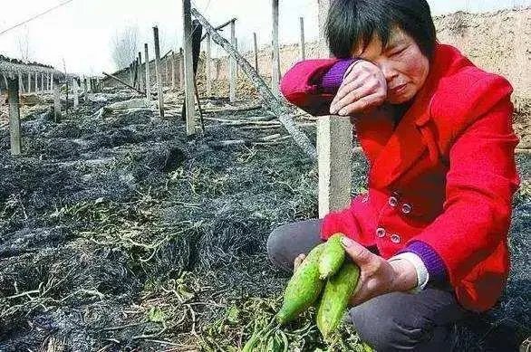 父母是普通乡下农民,辛苦一辈子给孩子全款买房,还要买奥迪车,这样真的好吗?
