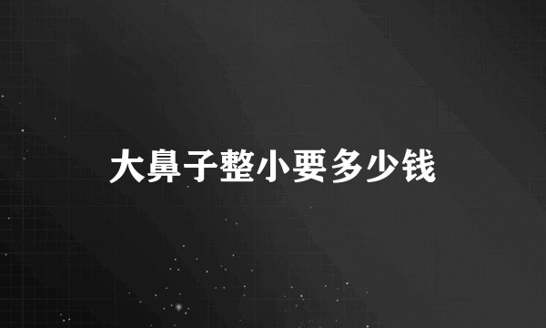 大鼻子整小要多少钱