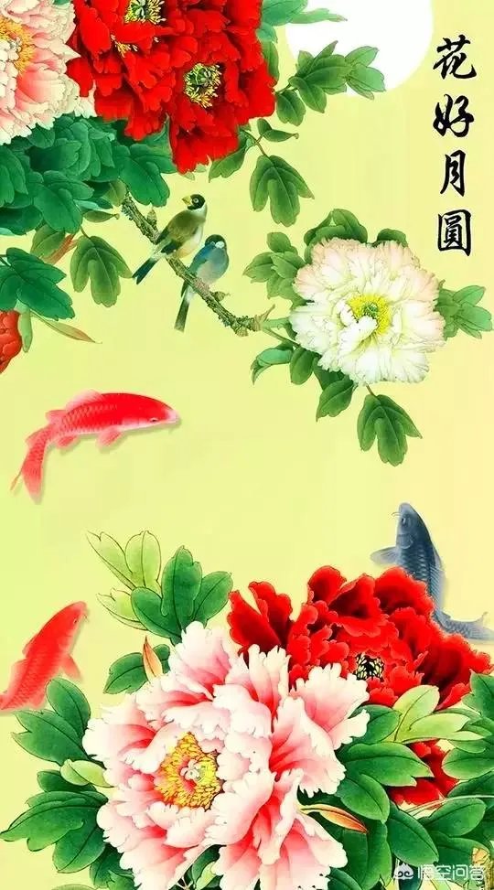 有哪些清新可爱的手机壁纸可以推荐？
