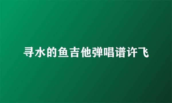 寻水的鱼吉他弹唱谱许飞