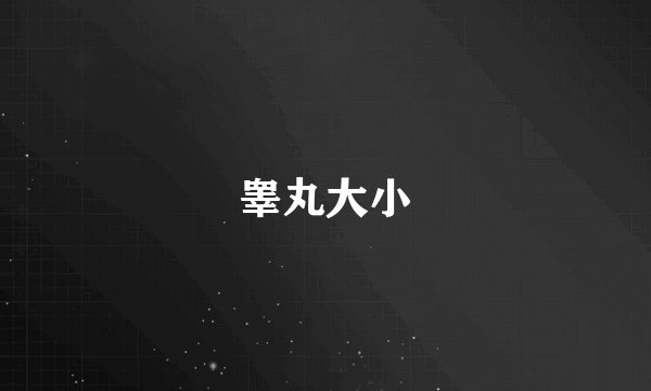 睾丸大小