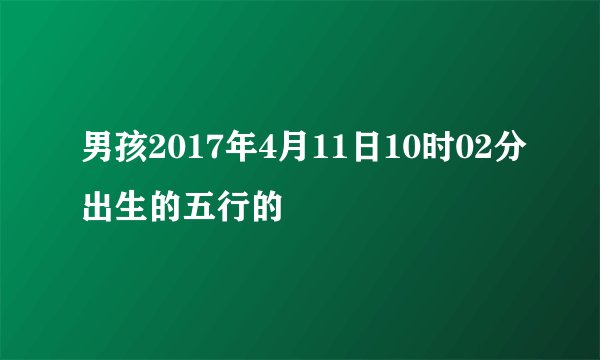 男孩2017年4月11日10时02分出生的五行的