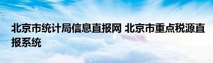 北京市统计局信息直报网 北京市重点税源直报系统