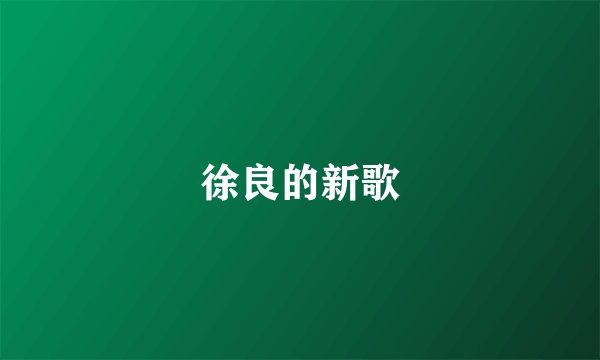 徐良的新歌