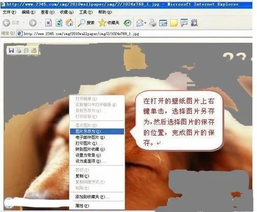 会动桌面壁纸