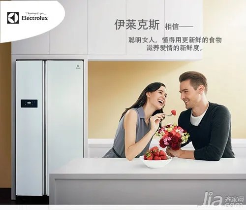 伊莱克斯冰箱怎么样  伊莱克斯冰箱优缺点