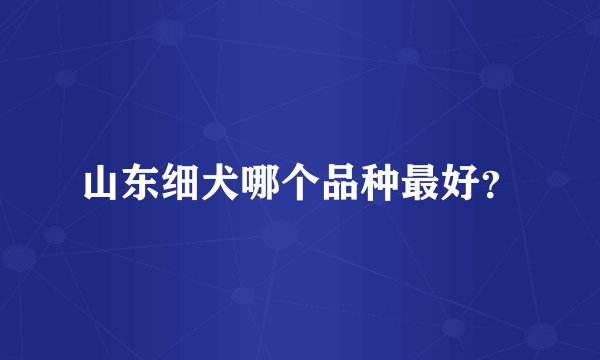 山东细犬哪个品种最好？