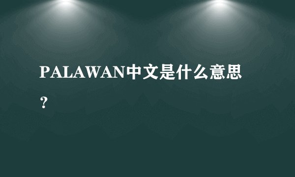 PALAWAN中文是什么意思?