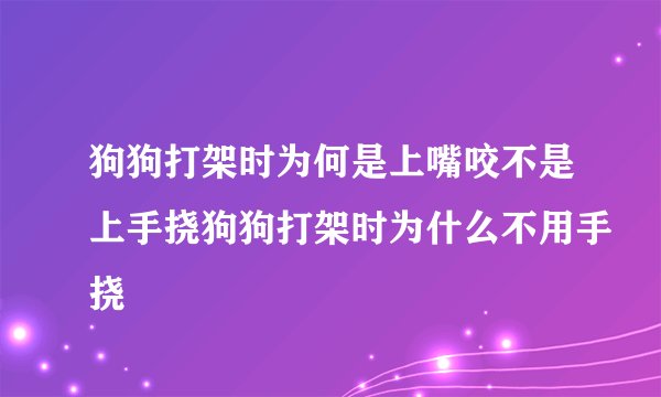 狗狗打架时为何是上嘴咬不是上手挠狗狗打架时为什么不用手挠
