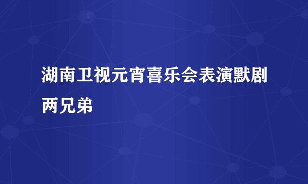 湖南卫视元宵喜乐会表演默剧两兄弟