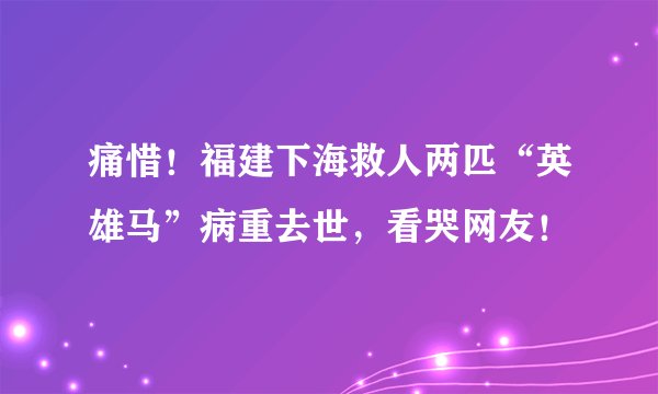 痛惜！福建下海救人两匹“英雄马”病重去世，看哭网友！