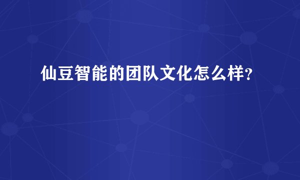 仙豆智能的团队文化怎么样？
