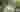 [汉服资讯]“唐代仕女”现身杭州西湖景区 重拾“以 胖为美”的审美观