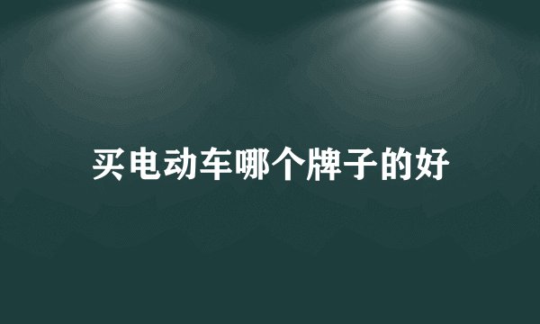 买电动车哪个牌子的好