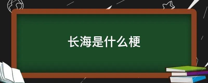 长海是什么梗