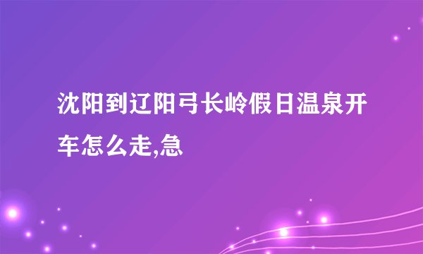 沈阳到辽阳弓长岭假日温泉开车怎么走,急