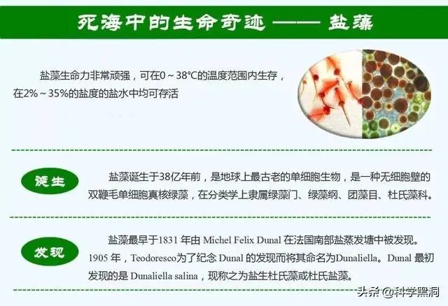 印度5万年前的陨石坑湖,一夜之间突然变红,预示了什么征兆?