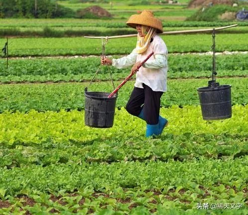 退休后想在附近农村租个房